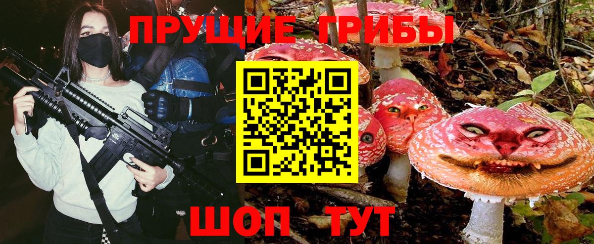 где купить наркотик  Псилоцибиновые грибы MAGIC MUSHROOMS  Набережные Челны  Вход с VPN  Псилоцибиновые грибы GOLDEN TEACHER 